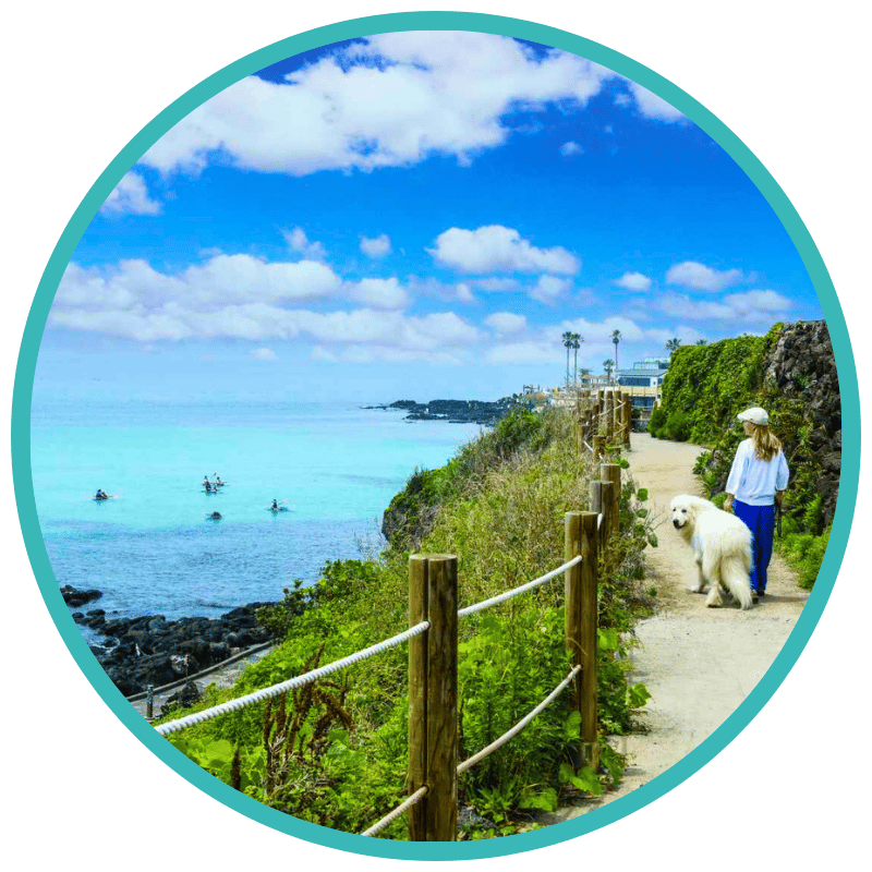 Aewol Handam Coastal Trail Walk Aewol Handam Coastal Trail Walk